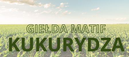 Kukurydza Gielda Chart