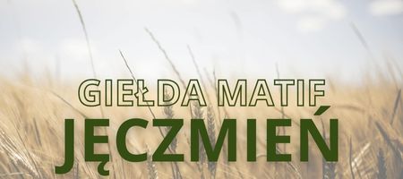 Jeczmien Paszowy Gielda Chart