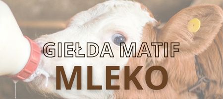 Plynne Mleko Gielda Chart