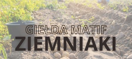 Ziemniaki Gielda Chart