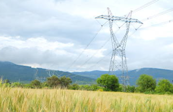 Rolnicy zapłacą więcej za prąd