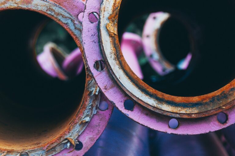 Smalec kontra rdza – rosyjscy naukowcy ratują maszyny rolnicze… tłuszczem wieprzowym