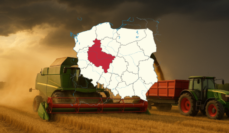 Żniwa 2025 w Wielkopolsce – gonitwa z pogodą i nieubłaganym czasem