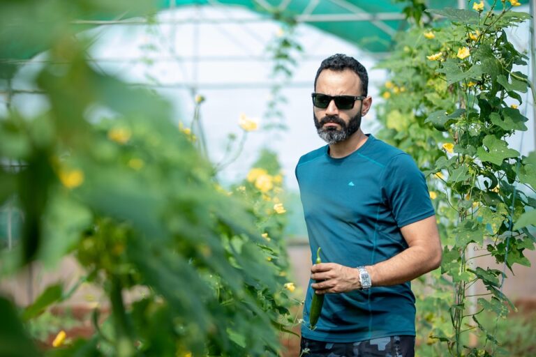 Doradztwo rolnicze do reformy – czy wieś zyska realne wsparcie?