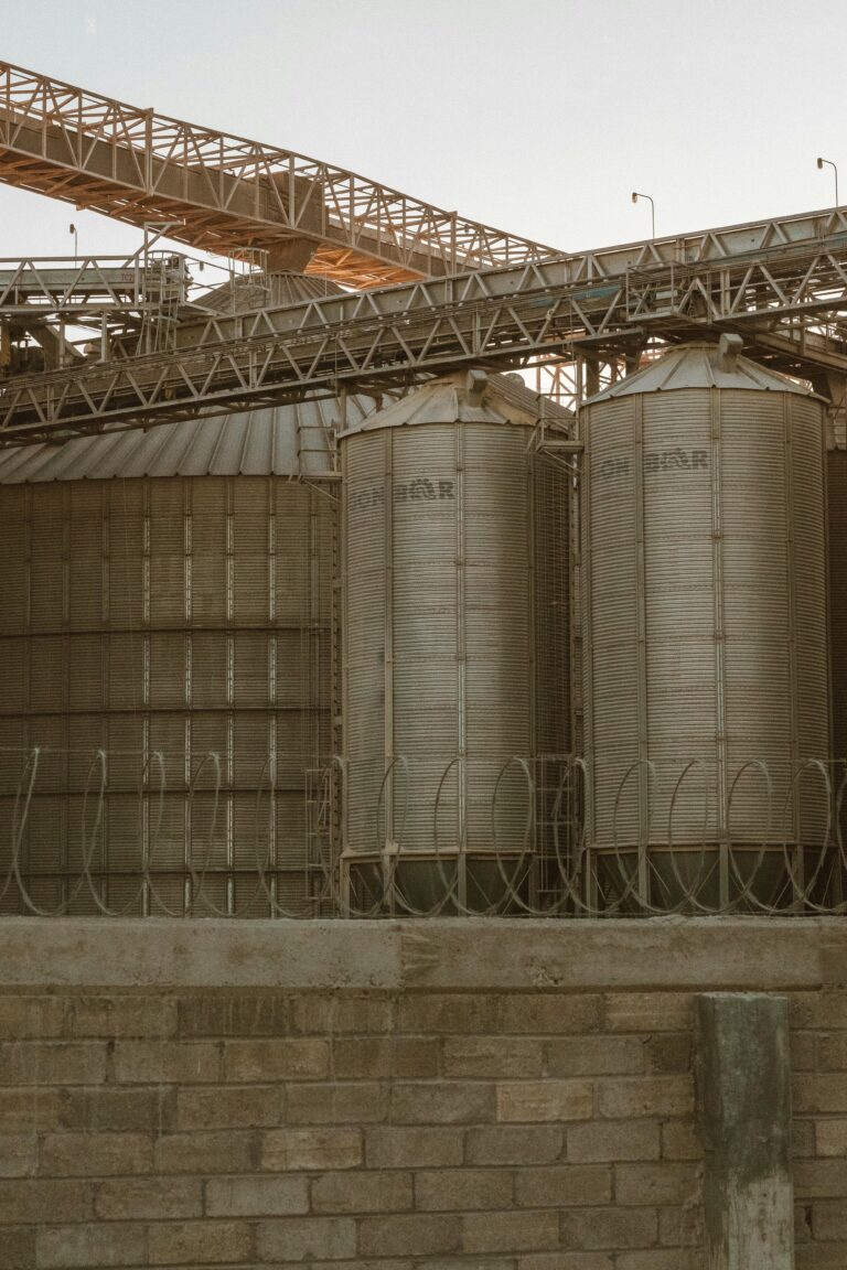 Zboże zalega w magazynach. Rolnicy czekają na lepsze ceny