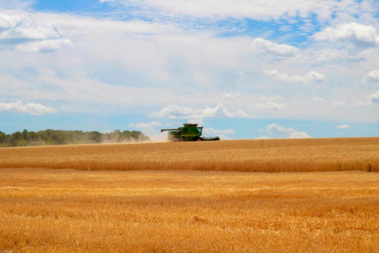 Rolnicy z Hrubieszowa ostro przeciwko umowie z Ukrainą: „To zagrożenie dla polskiego rolnictwa”