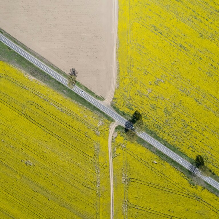 Rolniku, masz więcej niż 75 hektarów? Czeka Cię rejestracja w BDO i składanie sprawozdań