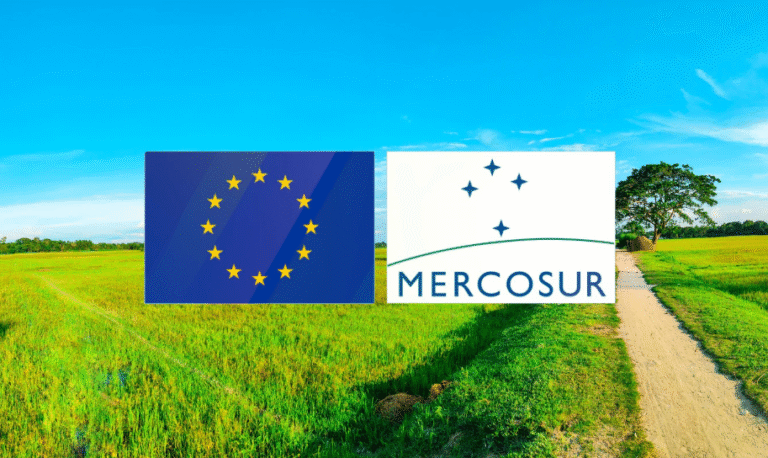 Umowa UE–Mercosur zabije polskie rolnictwo? Obawy są uzasadnione