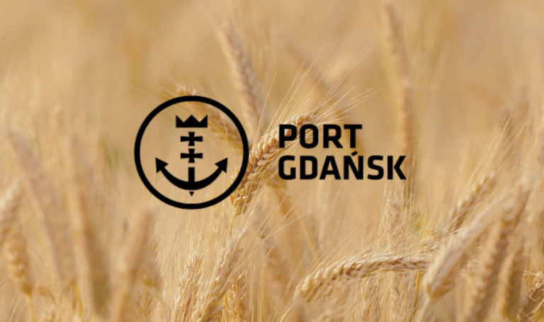 Port Gdańsk w letnim szczycie sezonu zbóż: przygotowany na wyzwania eksportu