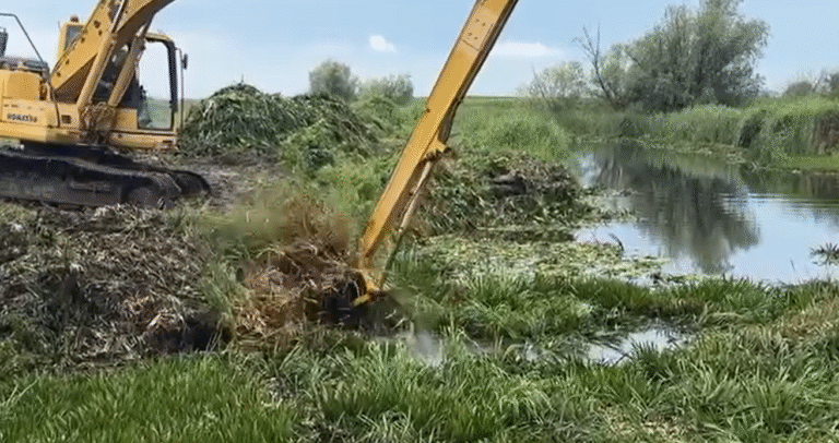 Zalane pola na Żuławach – rolnicy krytykują Wody Polskie za niedostateczne działania