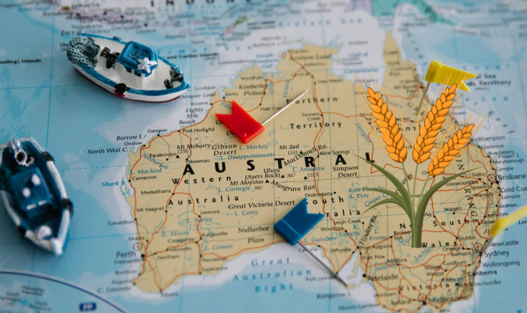 Droższa cola ogranicza sprzedaż o 12 proc. – australijskie dane odsłaniają siłę podatków zdrowotnych