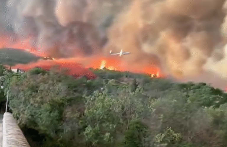 Ogromny pożar we Francji zniszczył ponad 15 tysięcy hektarów, w tym słynne winnice