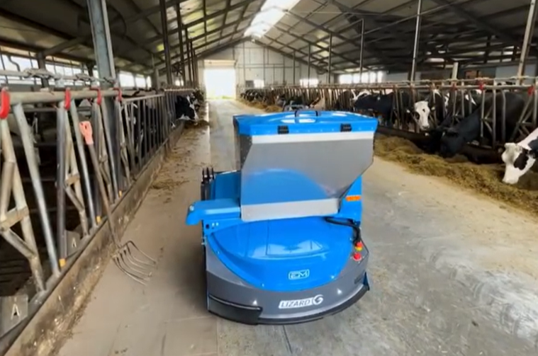 Robot do podgarniania paszy pomaga rolnikom produkować więcej mleka