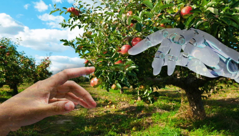 Sztuczna inteligencja w polskim rolnictwie – od raczkowania do rewolucji