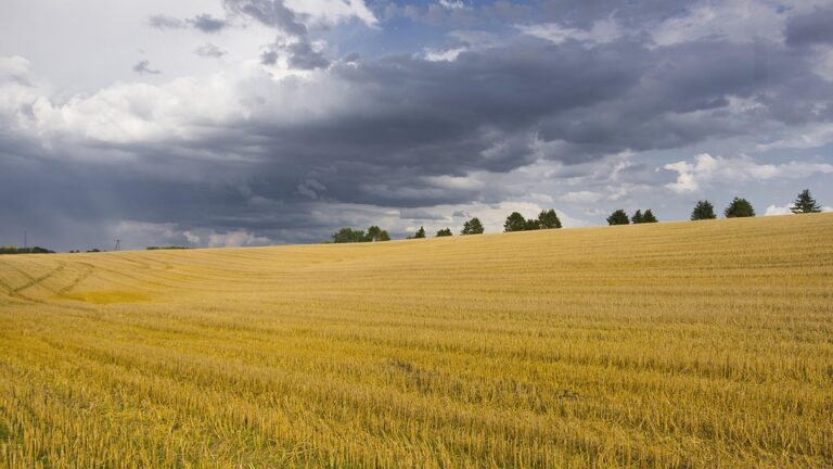 Dywersyfikacja dochodów przez rolników – czemu warto?