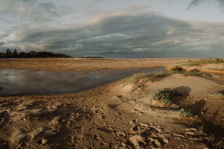 Susza w Australii Południowej zmusza hodowców do sięgania po siano od innych rolników