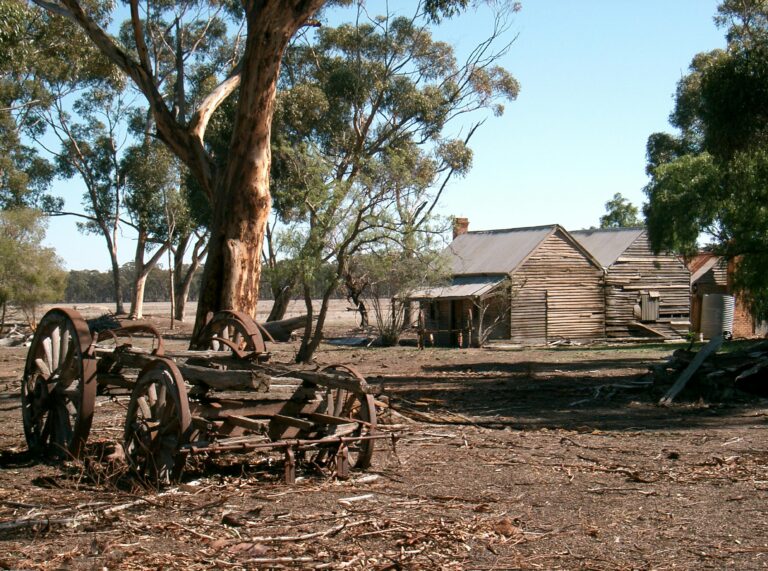 Eksperci alarmują: Rolnictwo cofnie się w czasie