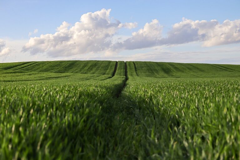 Rolnicy apelują o decyzje w sprawie ośrodków produkcji rolnej