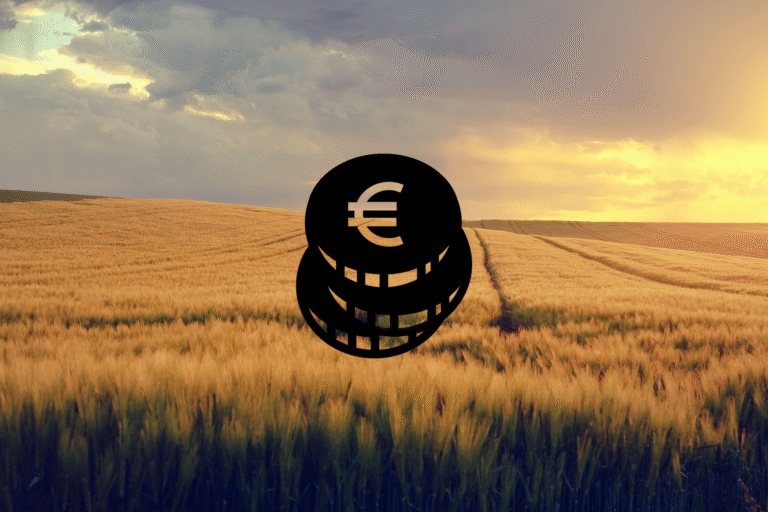 Kurs euro do dopłat w 2025 roku – mniej korzystny niż przed rokiem